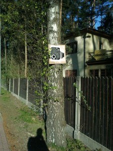 Jūrmala, meza posms, virzienā uz Jūrmalu