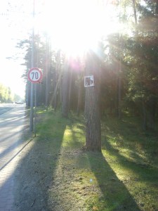 Jūrmala, meza posms, virzienā uz Rīgu