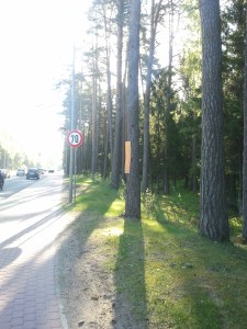 2012.05.14 - Jurmala, meža posms